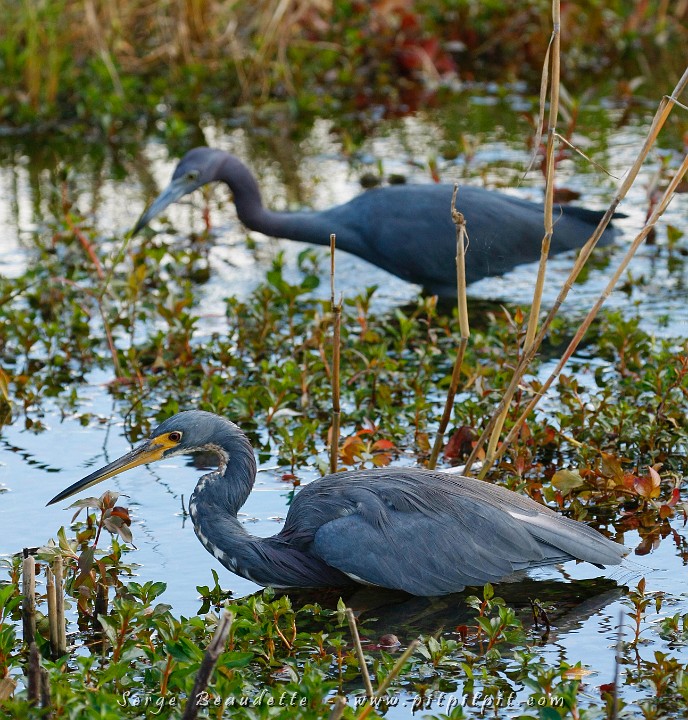 2009-01-10 10-53-01__MG_2182.JPG
